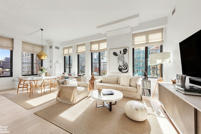 living room with light hardwood / wood-style flooring