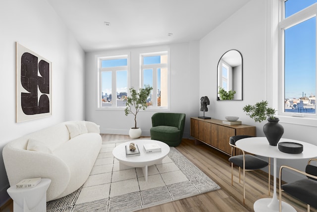 living room with wood-type flooring