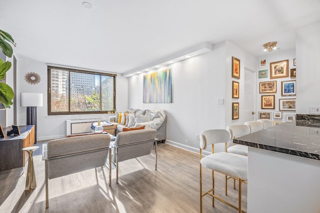 living room with light hardwood / wood-style flooring