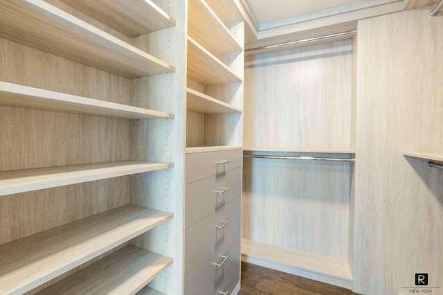 walk in closet with dark wood-type flooring