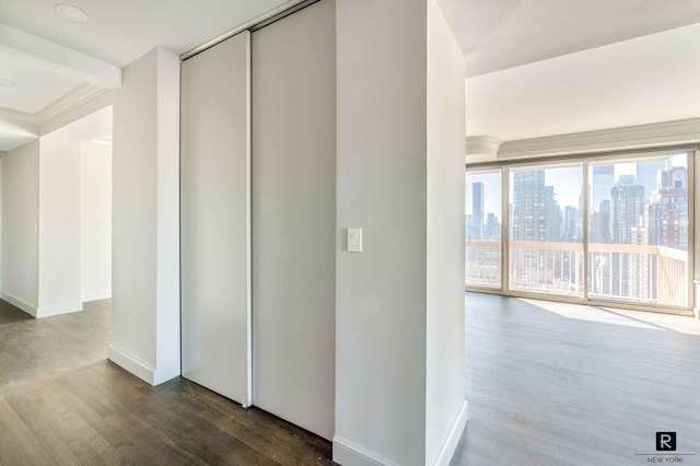 hallway with floor to ceiling windows and dark wood-type flooring