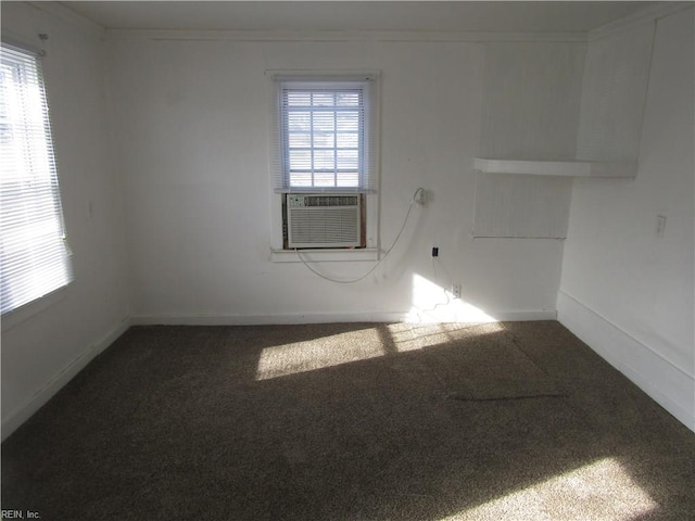 403 S Church St, Smithfield, VA 23430 - spare room with dark colored carpet and a wealth of natural light