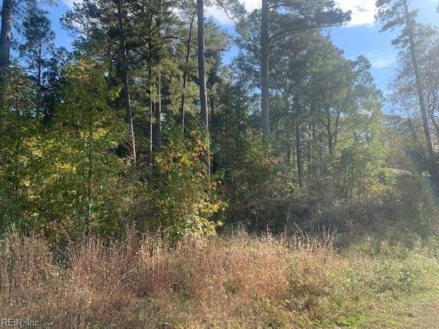 41AC Pinehaven Rd, Courtland VA, 23837 land for sale