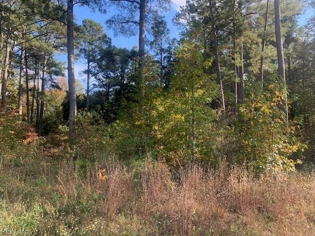 42AC Pinehaven Rd, Courtland VA, 23837 land for sale