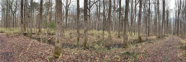 Listing photo 2 for LOT28 Trinkle St, Chesapeake VA 23322