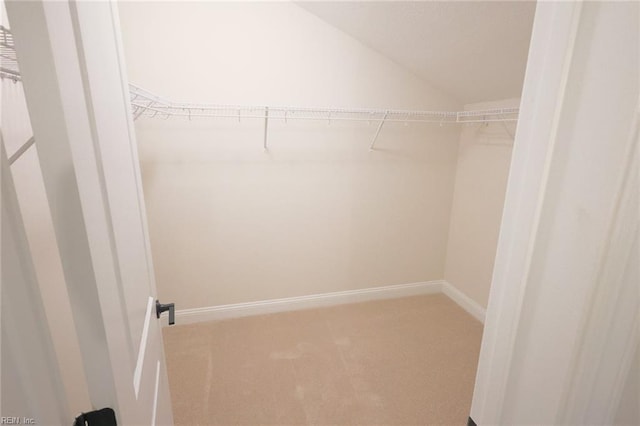 walk in closet with carpet floors and vaulted ceiling