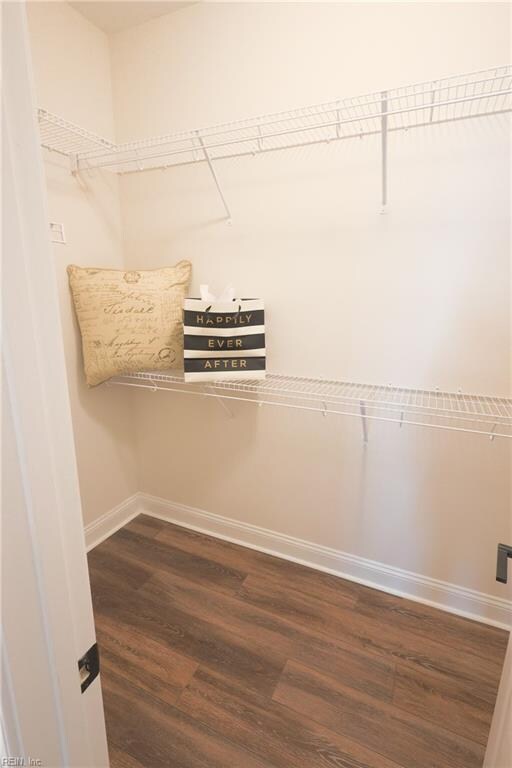 spacious closet featuring dark hardwood / wood-style floors