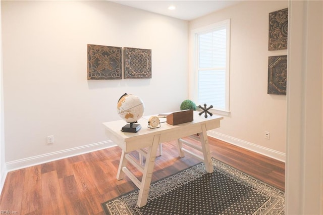 office featuring wood-type flooring