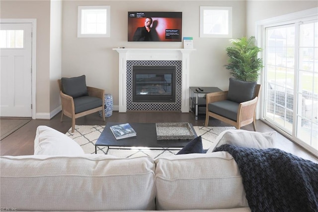 living room featuring a fireplace and hardwood / wood-style floors