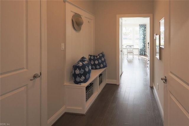 corridor with dark hardwood / wood-style flooring