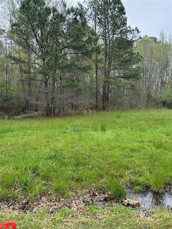 4225 Clifton St, Suffolk VA, 23435 land for sale