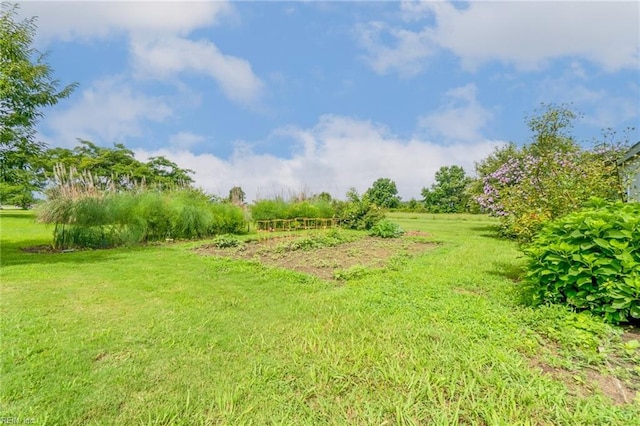 view of yard with a rural view