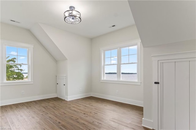 additional living space featuring wood-type flooring