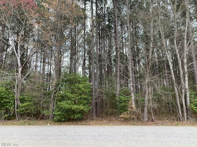 2.12AC Gilliam Rd, Yale VA, 23897 land for sale