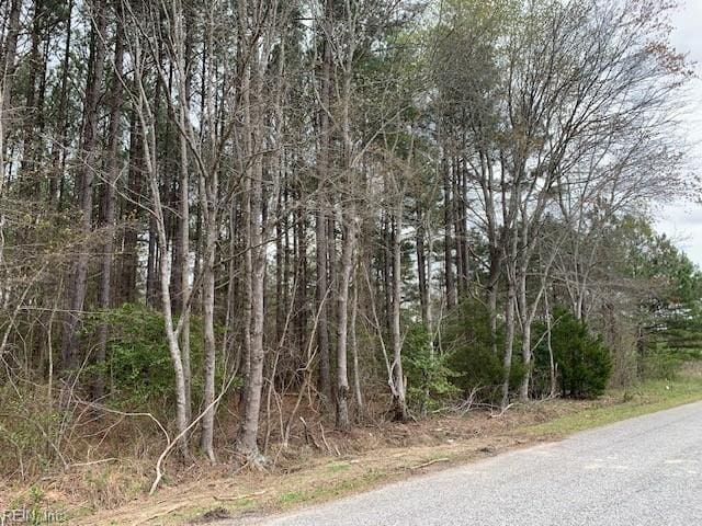 Listing photo 3 for 2.12AC Gilliam Rd, Yale VA 23897