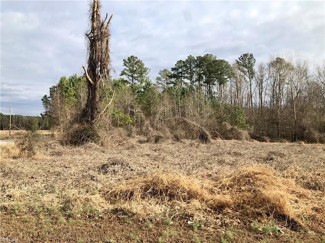 4AC Liverman Mill Rd, Ahoskie NC, 27910 land for sale