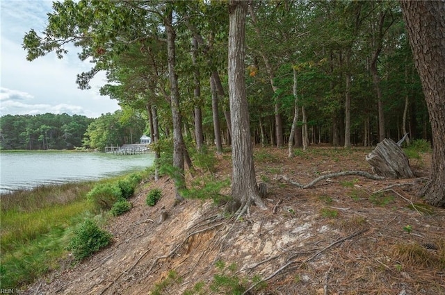 view of nature with a water view