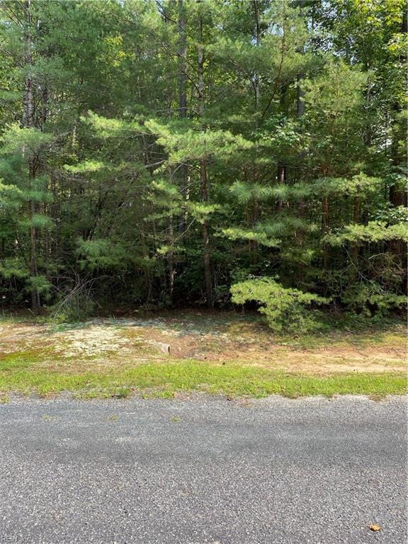 Listing photo 3 for 3.25AC Rock Fish Rd, Heathsville VA 22473