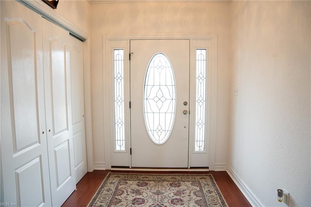 entryway featuring dark hardwood / wood-style floors and a healthy amount of sunlight