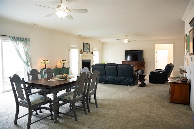 dining area with ceiling fan, carpet floors, and ornamental molding