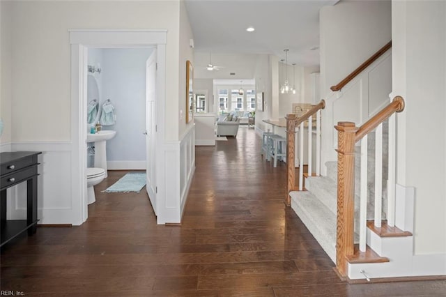 entryway featuring ceiling fan with notable chandelier and dark wood-type flooring