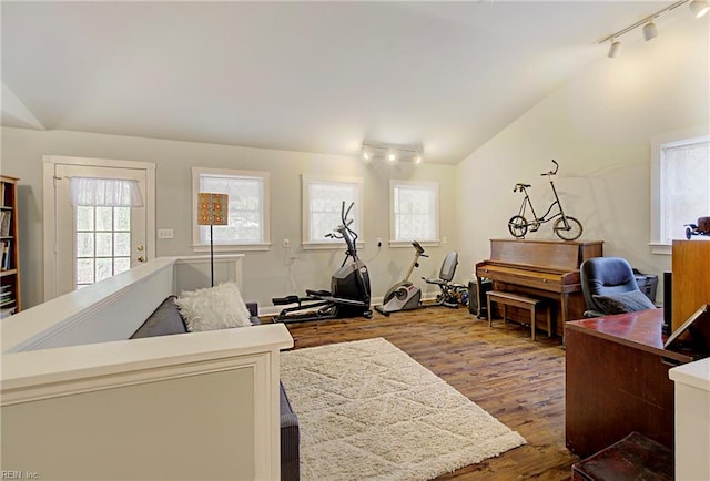 exercise room featuring hardwood / wood-style floors, lofted ceiling, and rail lighting