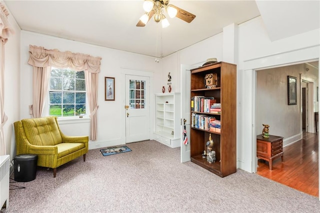 living area featuring radiator heating unit, carpet, and ceiling fan