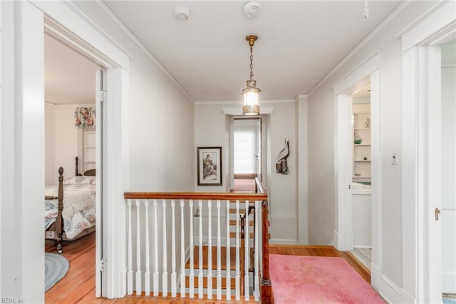 hallway featuring light hardwood / wood-style flooring and crown molding