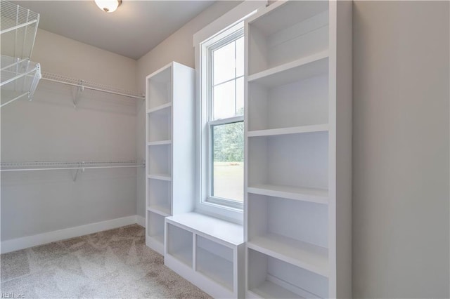 walk in closet featuring light carpet