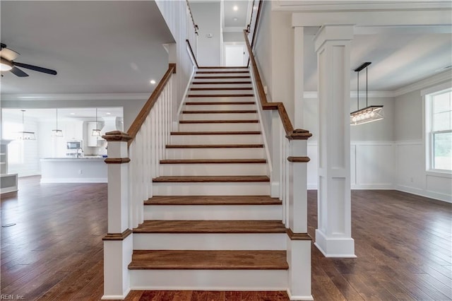 stairs with dark hardwood / wood-style flooring, crown molding, and ceiling fan with notable chandelier