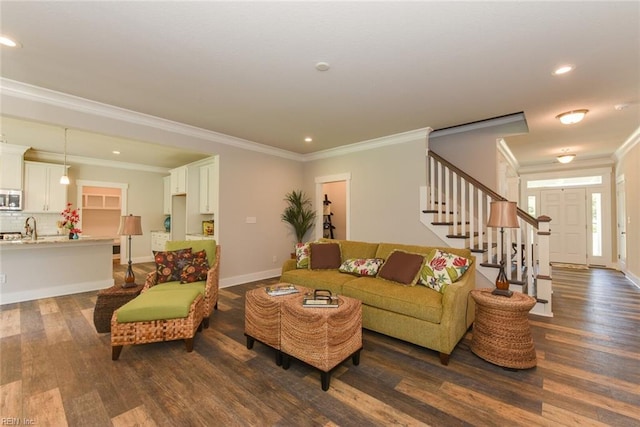 living room featuring sink, dark hardwood / wood-style flooring, and ornamental molding