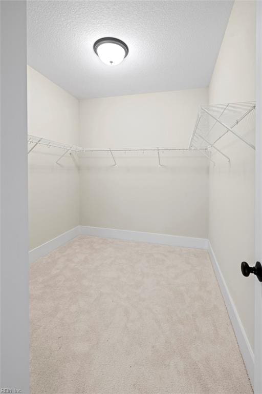 spacious closet with light carpet