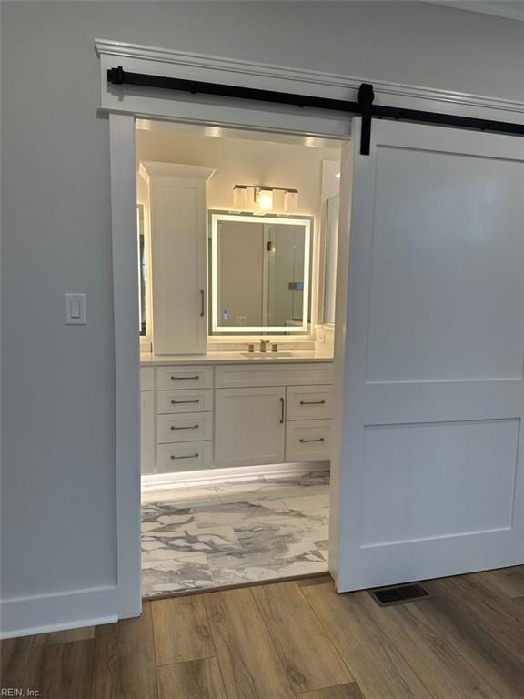 bathroom with hardwood / wood-style flooring and vanity