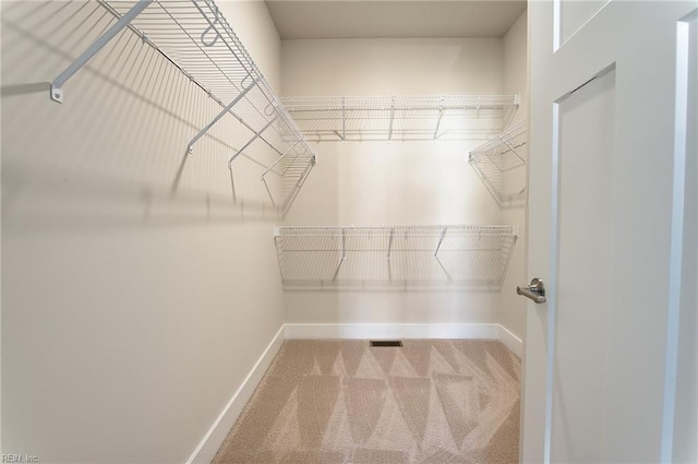 walk in closet featuring carpet flooring