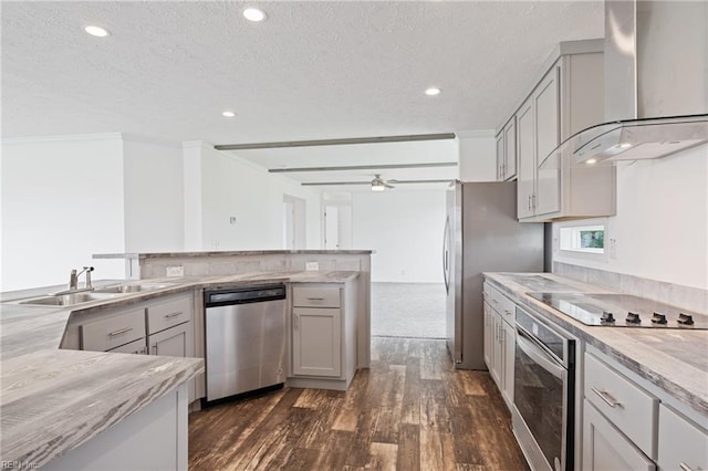 kitchen featuring wall chimney range hood, sink, dark wood-type flooring, and appliances with stainless steel finishes