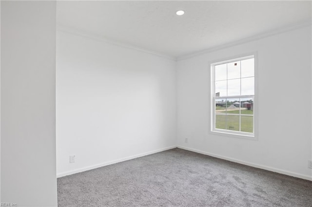 spare room with crown molding, a wealth of natural light, and carpet flooring