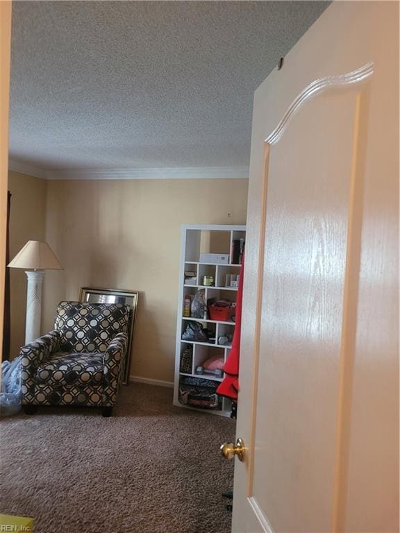 carpeted bedroom with a textured ceiling