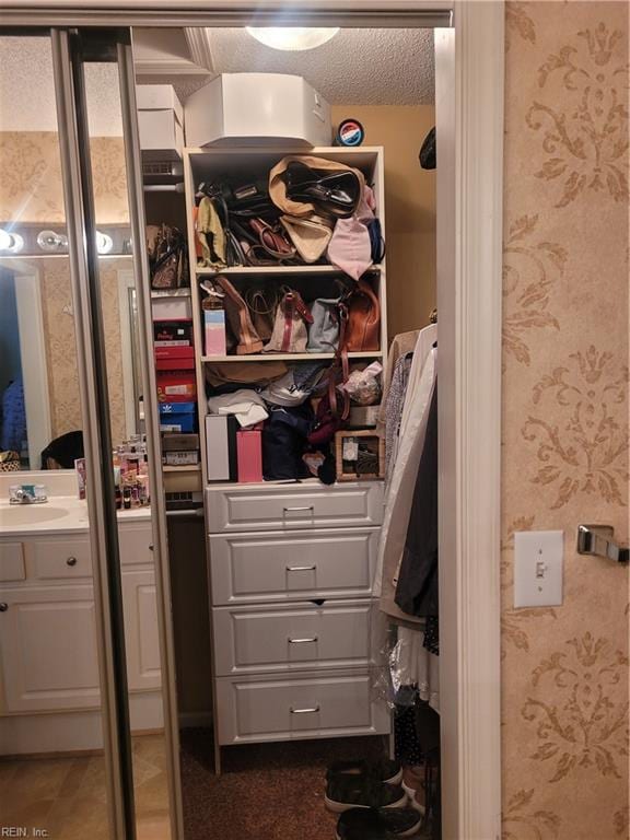 closet with sink