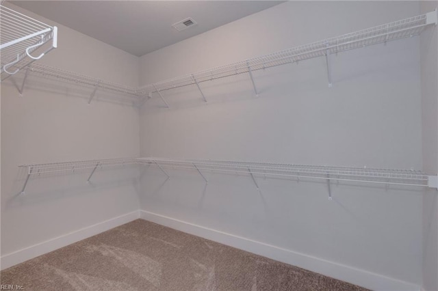 walk in closet featuring carpet