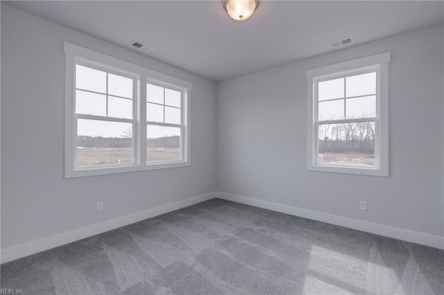 carpeted empty room with plenty of natural light