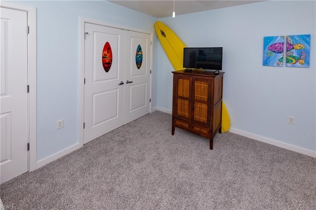 bedroom featuring carpet and a closet