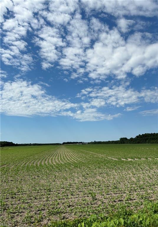 view of yard featuring a rural view