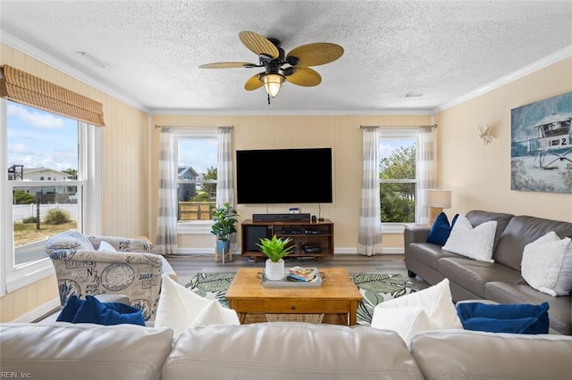 living room featuring hardwood / wood-style flooring, plenty of natural light, and crown molding