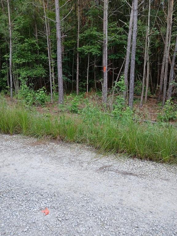 801 Brick Yard Rd, Emporia, VA 23847