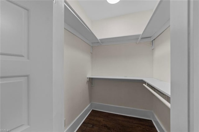 walk in closet featuring dark hardwood / wood-style flooring