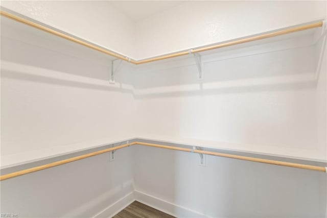 walk in closet featuring dark hardwood / wood-style floors