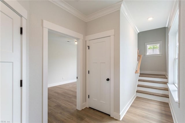 corridor with crown molding and light hardwood / wood-style flooring