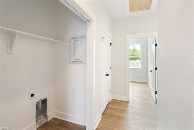 clothes washing area with electric panel, electric dryer hookup, and light hardwood / wood-style floors