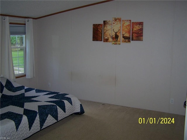 34026 Doctors Rd, Newsoms, VA 23874 - carpeted bedroom featuring crown molding