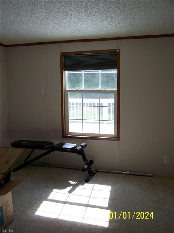 34026 Doctors Rd, Newsoms, VA 23874 - carpeted spare room with a textured ceiling